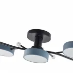 Светильник светодиодный Arte Milano Ferrara 256606/5 Bk/Gr