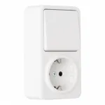 Розетка с заземлением и шторками + выключатель одноклавишный, 10AX 250V, 16A 250V 310.52-1.white от ImperiumLoft