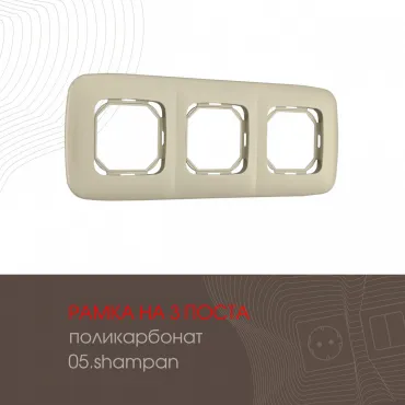 Рамка из поликарбоната на 3 поста 505.05-3.shampan Рамка из поликарбоната на 3 поста 505.05-3.shampan
