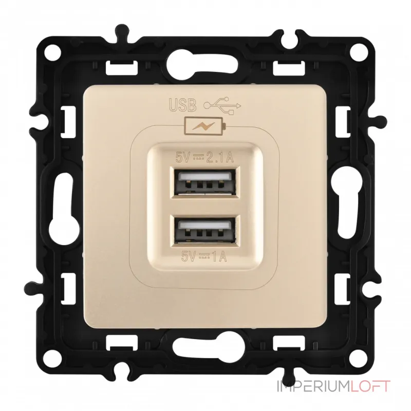 Розетка USB 2.1А+1А 217.46-1.shampan