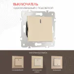 Выключатель одноклавишный с подсветкой, 10AX 250V 203.31-1.shampan от ImperiumLoft