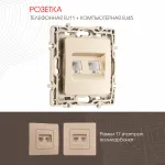 Розетка телефонная RJ11 + компьютерная RJ45 217.44-1.shampan