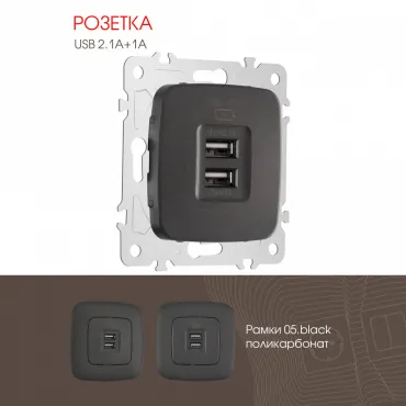 Розетка USB 2.1А+1А 205.46-1.black