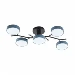 Светильник светодиодный Arte Milano Ferrara 256606/5 Bk/Gr
