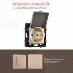 Розетка с заземлением, шторками и защитной крышкой, 16A 250V 217.41-1.shampan