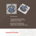 Розетка телефонная, RJ11 206.51-1.silver от ImperiumLoft