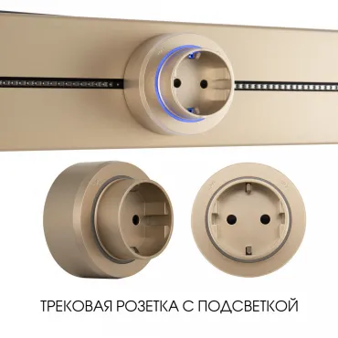 Трековая розетка, 16A 250V 397951TS/ES Gold Трековая розетка, 16A 250V 397951TS/ES Gold