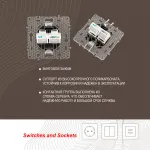 Розетка телефонная RJ11 + компьютерная RJ45 217.44-1.shampan