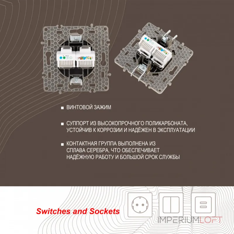 Розетка телефонная RJ11 + компьютерная RJ45 217.44-1.shampan