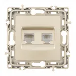 Розетка телефонная RJ11 + компьютерная RJ45 217.44-1.shampan