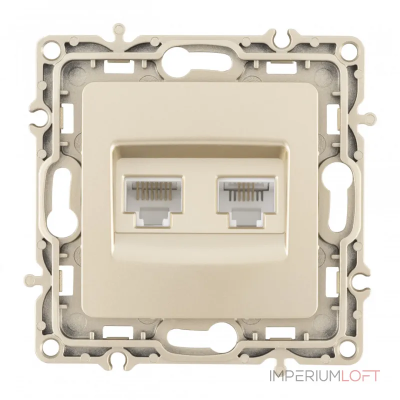 Розетка телефонная RJ11 + компьютерная RJ45 217.44-1.shampan