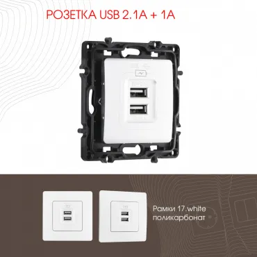 Розетка USB 2.1А+1А 217.46-1.white