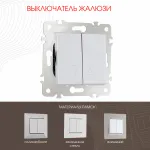 Выключатель жалюзи, 10A 250V 203.38-2.silver от ImperiumLoft Выключатель жалюзи, 10A 250V 203.38-2.silver от ImperiumLoft