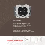 Розетка двойная с заземлением, 16A 250V 206.40-2.silver от ImperiumLoft
