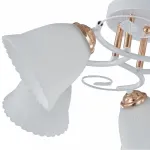 Потолочная люстра Arte Milano AMALFI-325395 325395/5A WH+FG