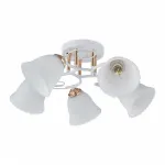 Потолочная люстра Arte Milano AMALFI-325395 325395/5A WH+FG