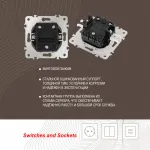 Выключатель двухклавишный с подсветкой, 10AX 250V 202.31-2.shampan
