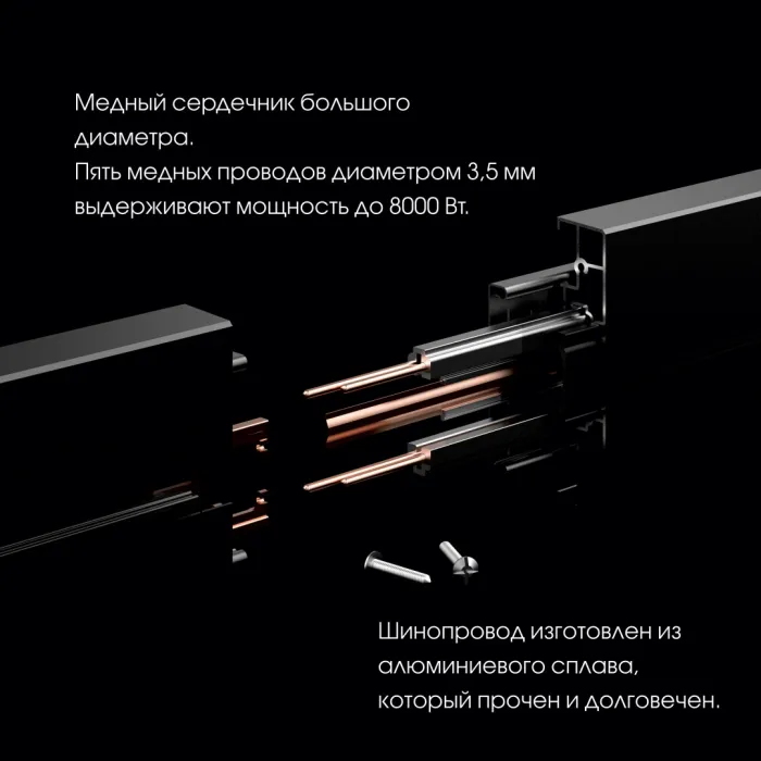 Трековая розетка, 2.1A 250V 380066TS LED/USBx2 Black от ImperiumLoft