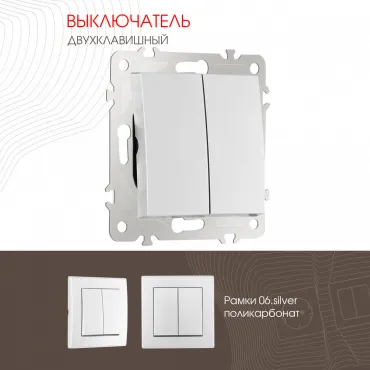 Выключатель двухклавишный, 10AX 250V 206.30-2.silver