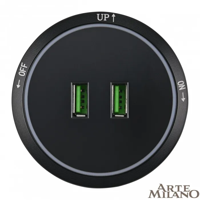 Трековая розетка, 2.1A 250V 380066TS LED/USBx2 Black от ImperiumLoft