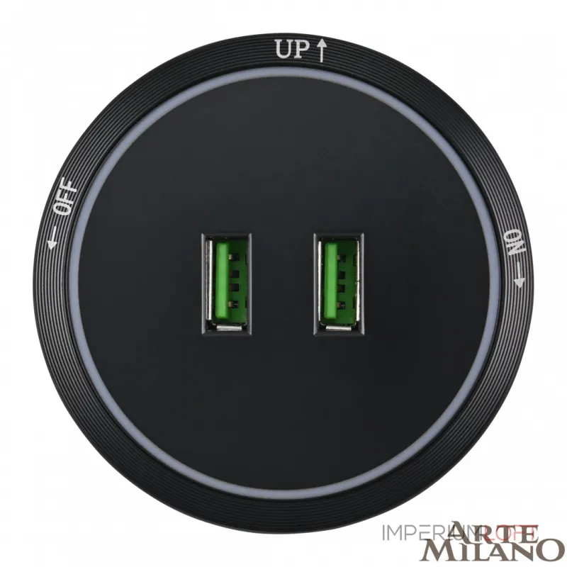 Трековая розетка, 2.1A 250V 380066TS LED/USBx2 Black от ImperiumLoft Трековая розетка, 2.1A 250V 380066TS LED/USBx2 Black от ImperiumLoft