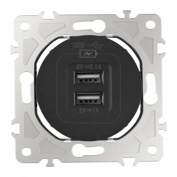 Розетка USB 2.1А+1А 202.46-1.black от ImperiumLoft