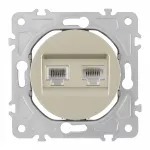 Розетка телефонная RJ11 + интернет RJ45 202.44-1.shampan