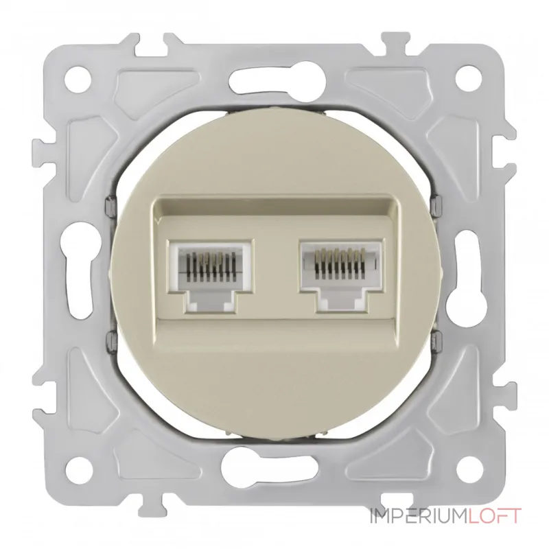 Розетка телефонная RJ11 + интернет RJ45 202.44-1.shampan Розетка телефонная RJ11 + интернет RJ45 202.44-1.shampan