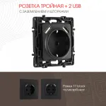 Розетка с заземлением, шторками + 2 USB, 16A 250V, USB DC 5V 2.1A 217.47-1.black