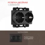 Розетка двойная с заземлением, 16A 250V 217.40-2.black
