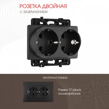 Розетка двойная с заземлением, 16A 250V 217.40-2.black