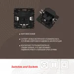 Розетка с заземлением, шторками + 2 USB, 16A 250V, USB DC 5V 2.1A 217.47-1.black