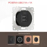 Розетка USB 2.1А+1А 202.46-1.black от ImperiumLoft