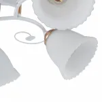 Потолочная люстра Arte Milano AMALFI-325395 325395/5A WH+FG