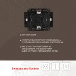 Розетка двойная с заземлением, 16A 250V 217.40-2.black