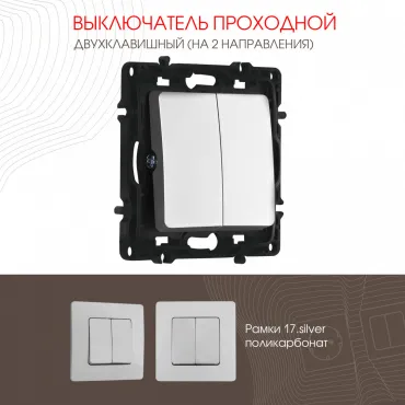 Выключатель двухклавишный проходной (на 2 направления), 10AX 250V 217.32-2.silver Выключатель двухклавишный проходной (на 2 направления), 10AX 250V 217.32-2.silver