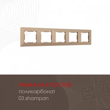 Рамка из поликарбоната на 5 постов 503.03-5.shampan