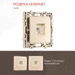 Розетка интернет, RJ45 217.45-1.shampan от ImperiumLoft