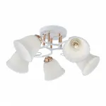 Потолочная люстра Arte Milano AMALFI-325395 325395/5A WH+FG