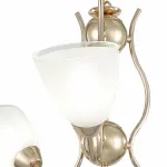 Подвесная люстра Arte Milano Amalfi-5816 335816/3 FGD