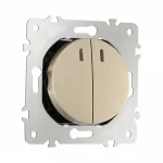 Выключатель двухклавишный с подсветкой, 10AX 250V 202.31-2.shampan