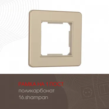 Рамка из поликарбоната на 1 пост 502.16-1.shampan