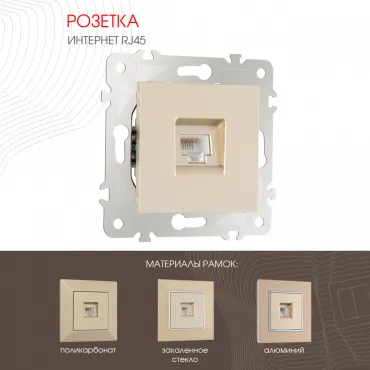 Розетка интернет RJ45 203.45-1.shampan Розетка интернет RJ45 203.45-1.shampan