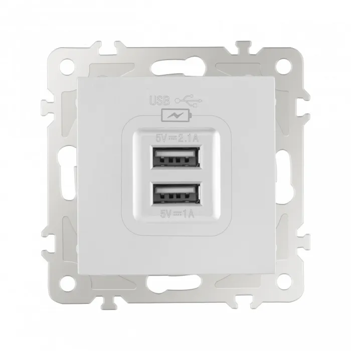Розетка USB 2.1А+1А 206.46-1.silver от ImperiumLoft