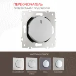 Переключатель одноклавишный перекрёстный с подсветкой, 10AX 250V 202.35-1.silver от ImperiumLoft
