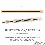 Встраиваемый шинопровод с выключателем, 25A 250V 385201TBB/100 Gold
