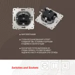 Розетка с заземлением, шторками и защитной крышкой, 16A 250V 202.41-1.silver от ImperiumLoft