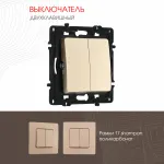 Выключатель двухклавишный, 10AX 250V 217.30-2.shampan
