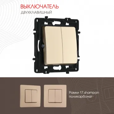 Выключатель двухклавишный, 10AX 250V 217.30-2.shampan