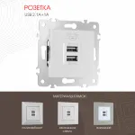 Розетка USB 2.1А+1А 203.46-1.silver от ImperiumLoft
